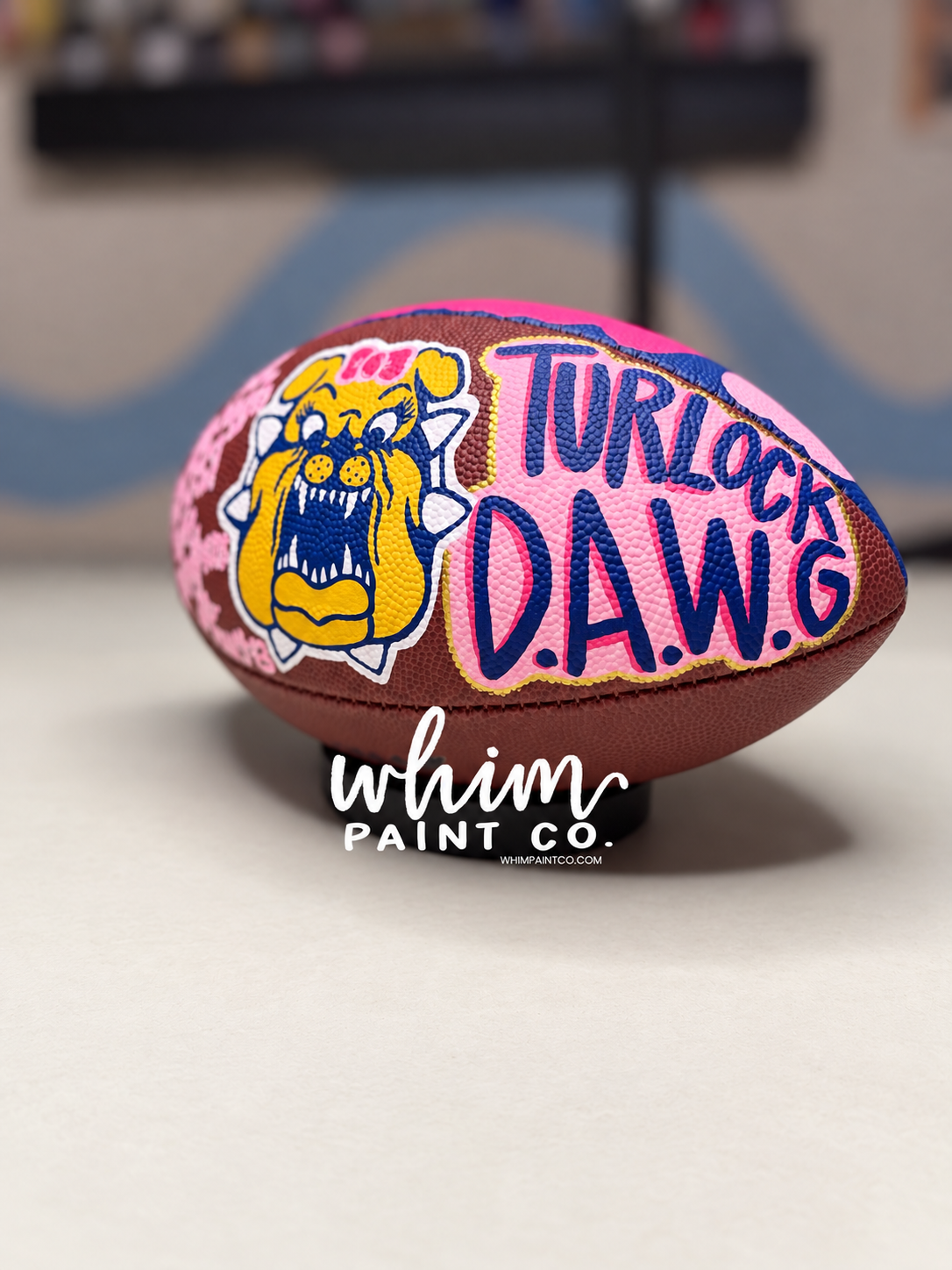 Painted Sports Balls