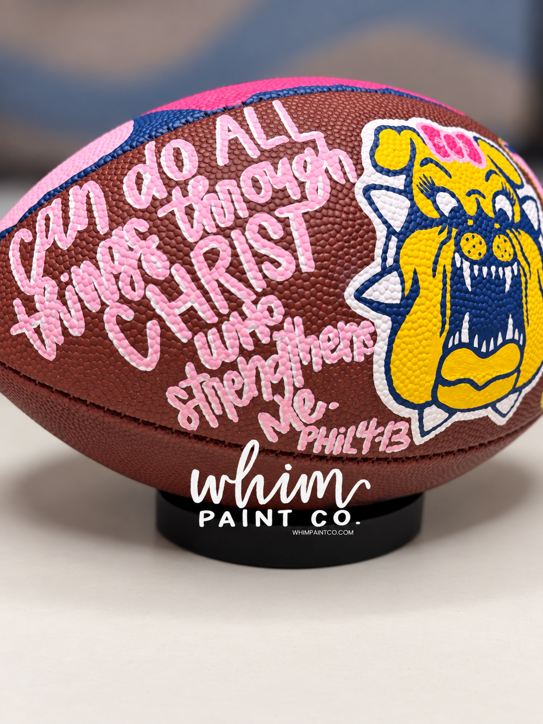 Painted Sports Balls