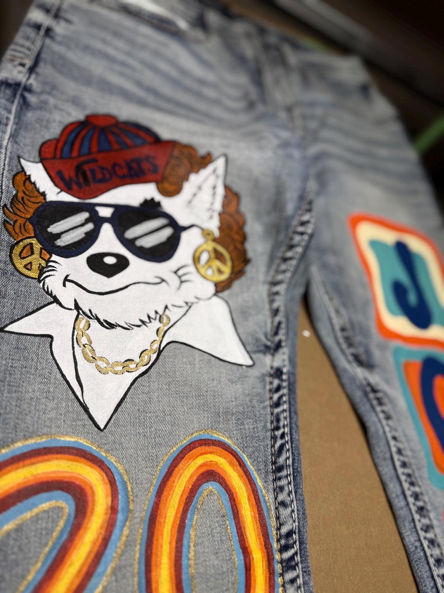 Custom Senior Jeans Painted: You provide the jeans School Spirit